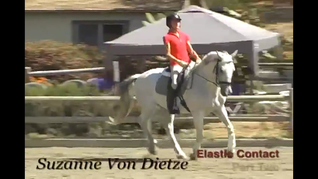 Training Basics, Elastic Contact | Susanne von Dietze | PART 02