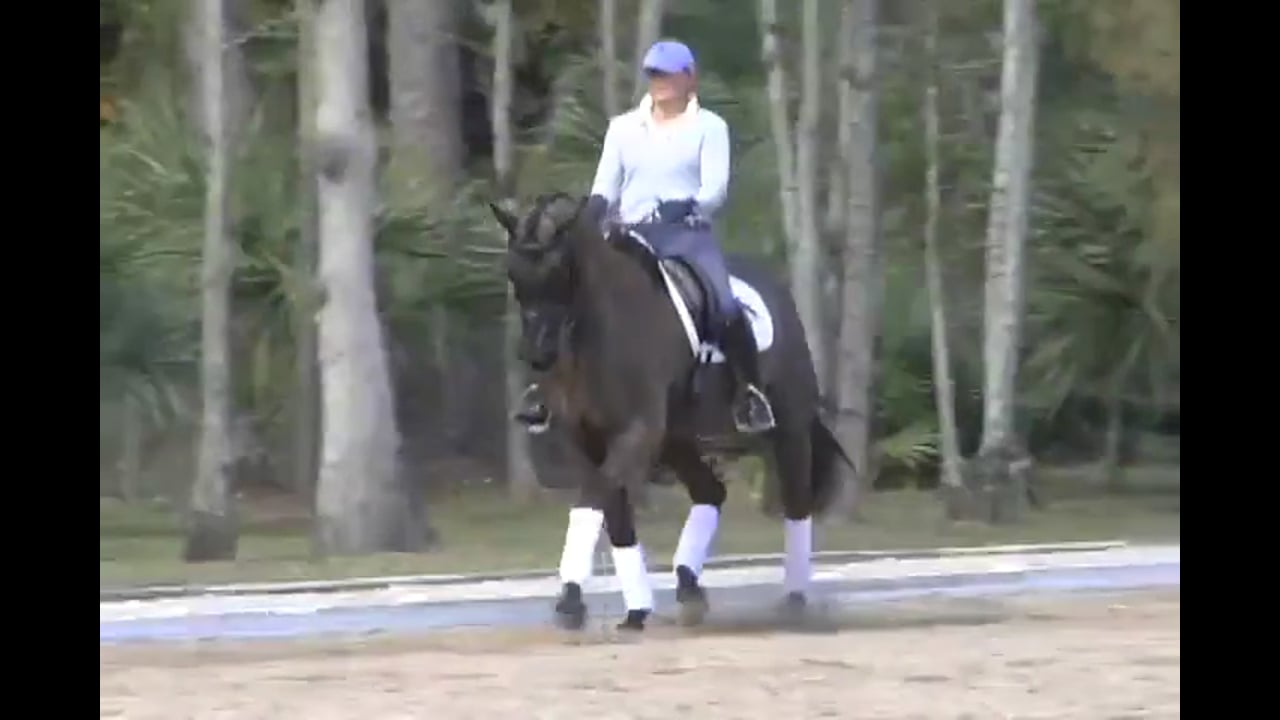 Six Year Old Test, Keeping the Horse Swinging | Nancy Later | PART 03