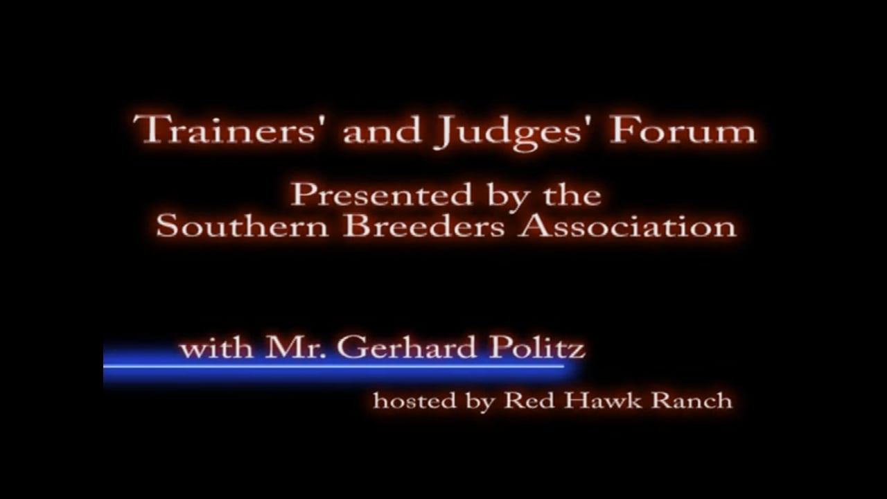 Trainers and Judges Forum, Three Year Old's, Stretching, Canter work with Dieter