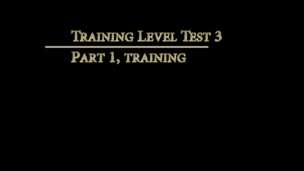 Training Level Test - Test 3, Training | Lilo Fore & Gary Rockwell | PART 01