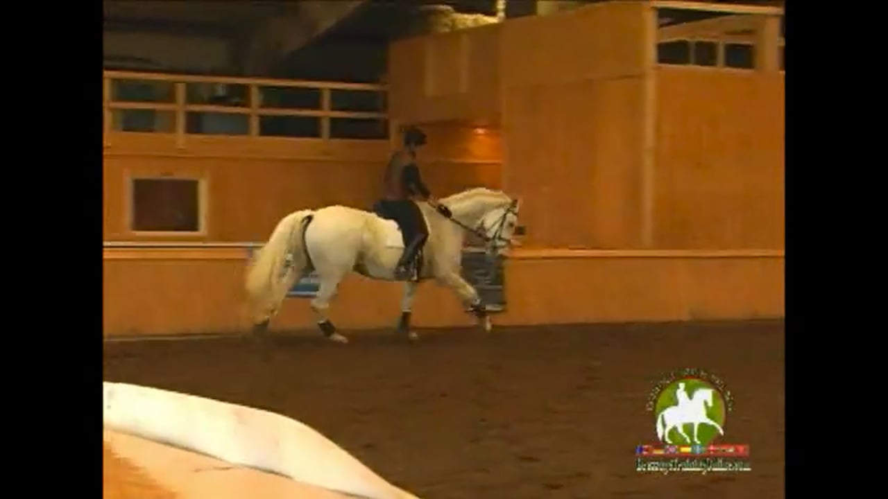 Training Level through Intermediare 1 with Christoph Hess