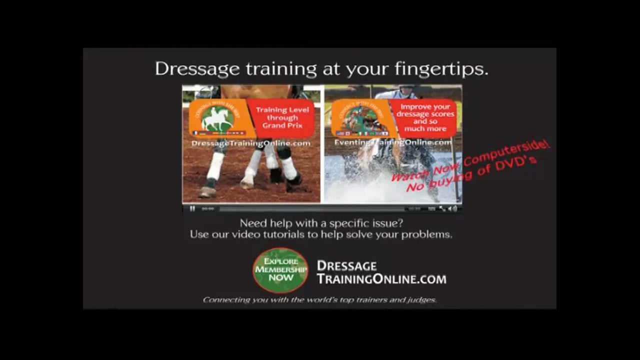 Training Level Connection & Obedience | Debbie McDonald