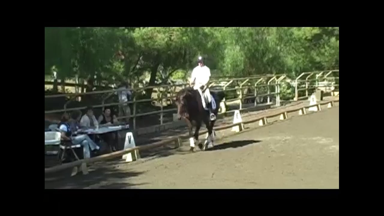 Trainers & Judges Forum: 3YOs, Stretching/Canter Work | Dieter Schule | PART 02
