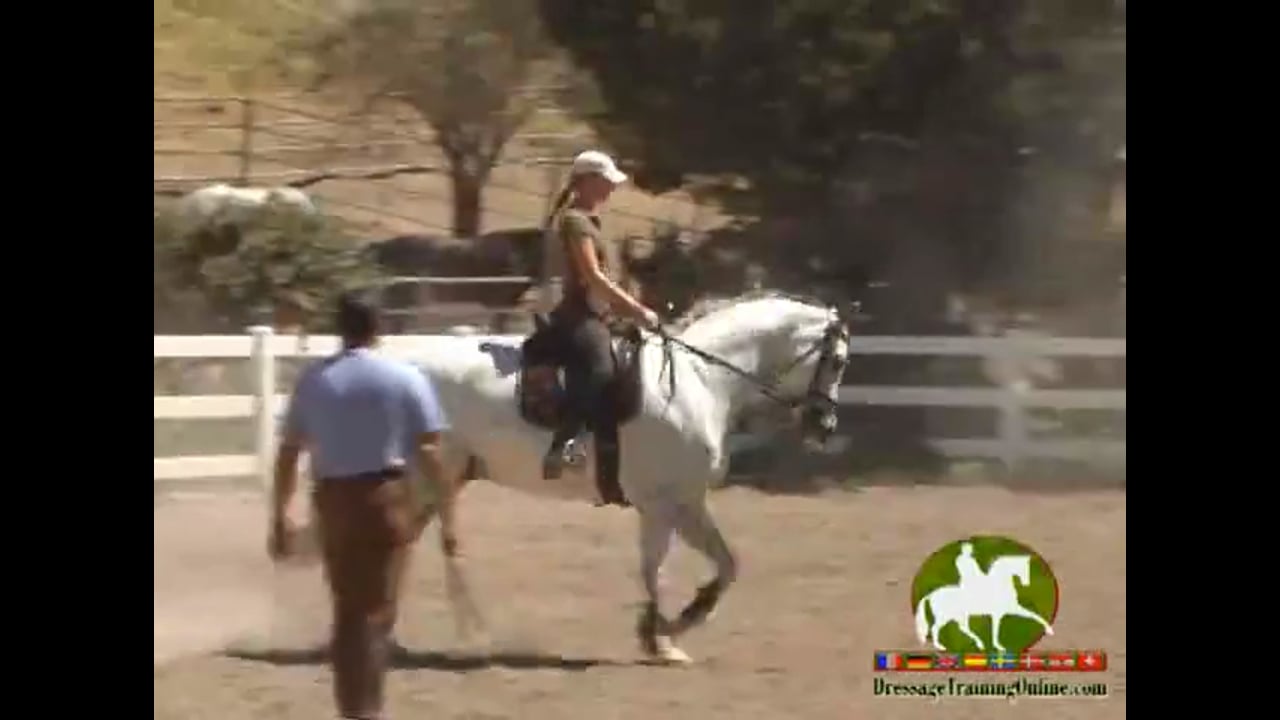 Training Level to Grand Prix work with Hilda Gurney, Video Set 1