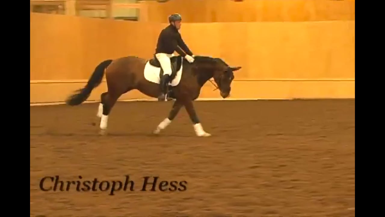 Training Level through Intermediare 1 with Christoph Hess