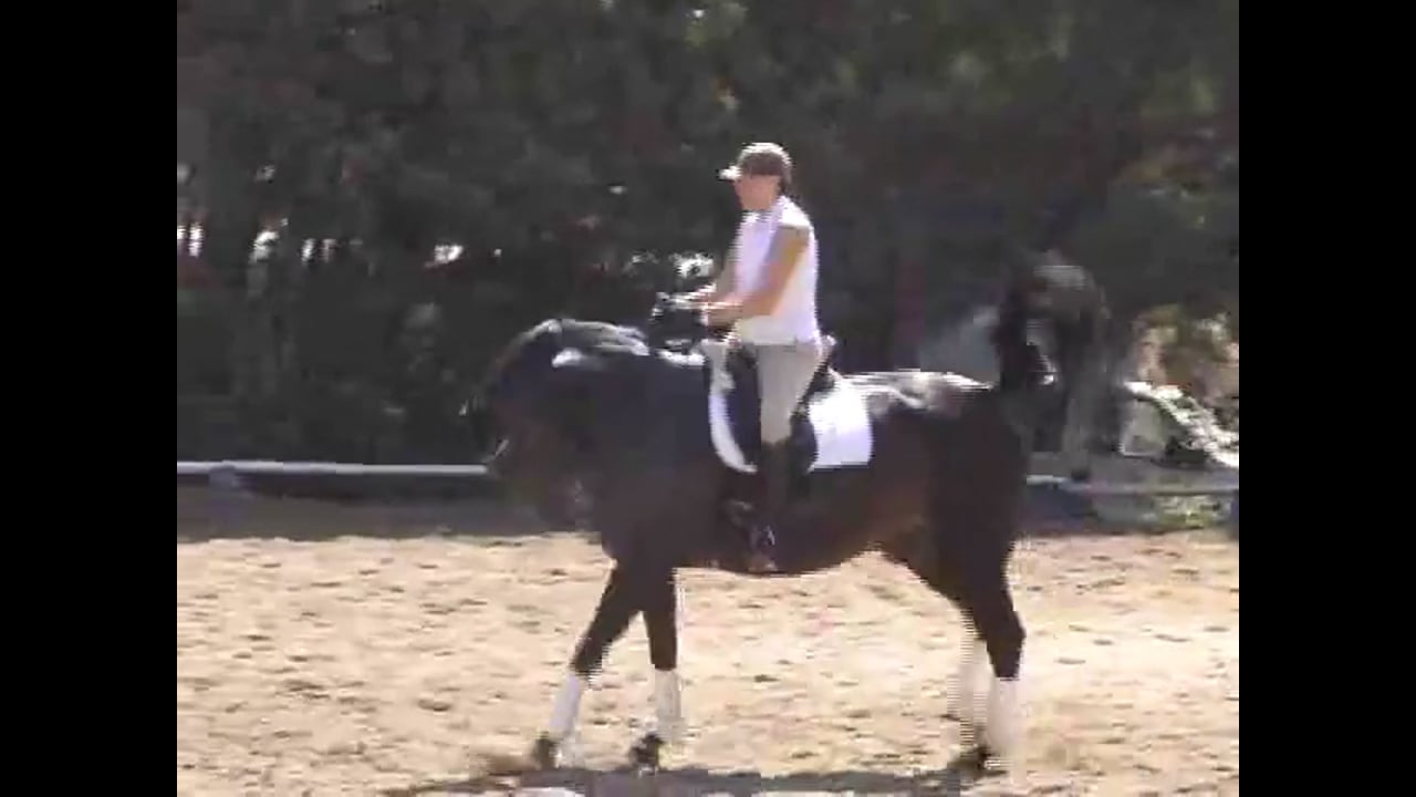 Training Level to Grand Prix work with Hilda Gurney, Video Set 1