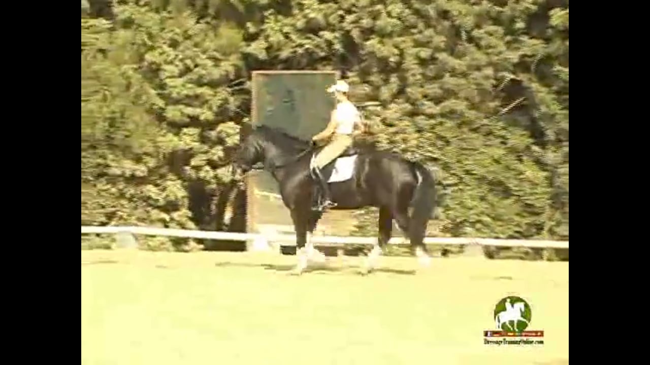Training Level to Grand Prix work with Hilda Gurney, Video Set 1