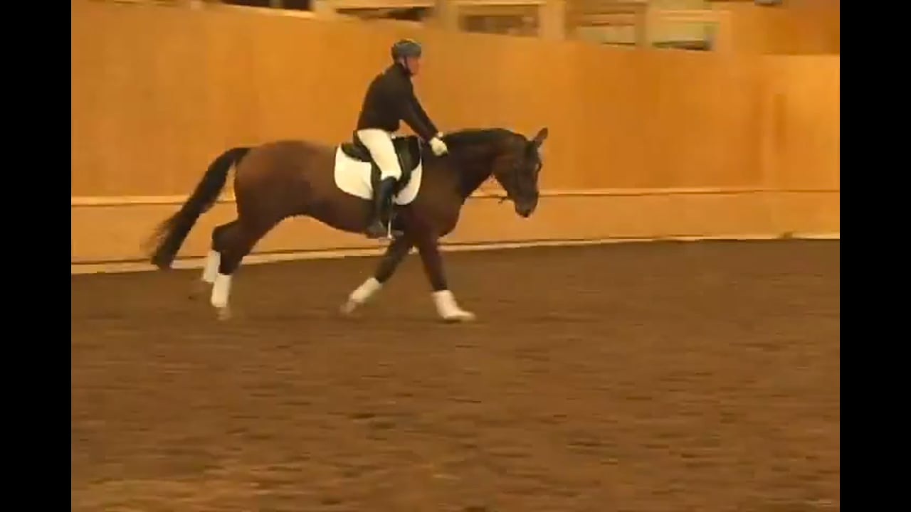 Training Level through Intermediare 1 with Christoph Hess, 5-year-old - Part 3