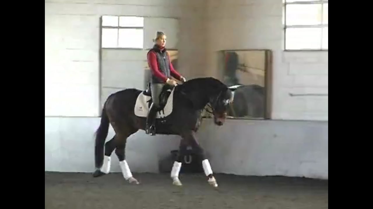 Gait Quality & Developing the Piaffe and Passage | Courtney King-Dye | PART 01