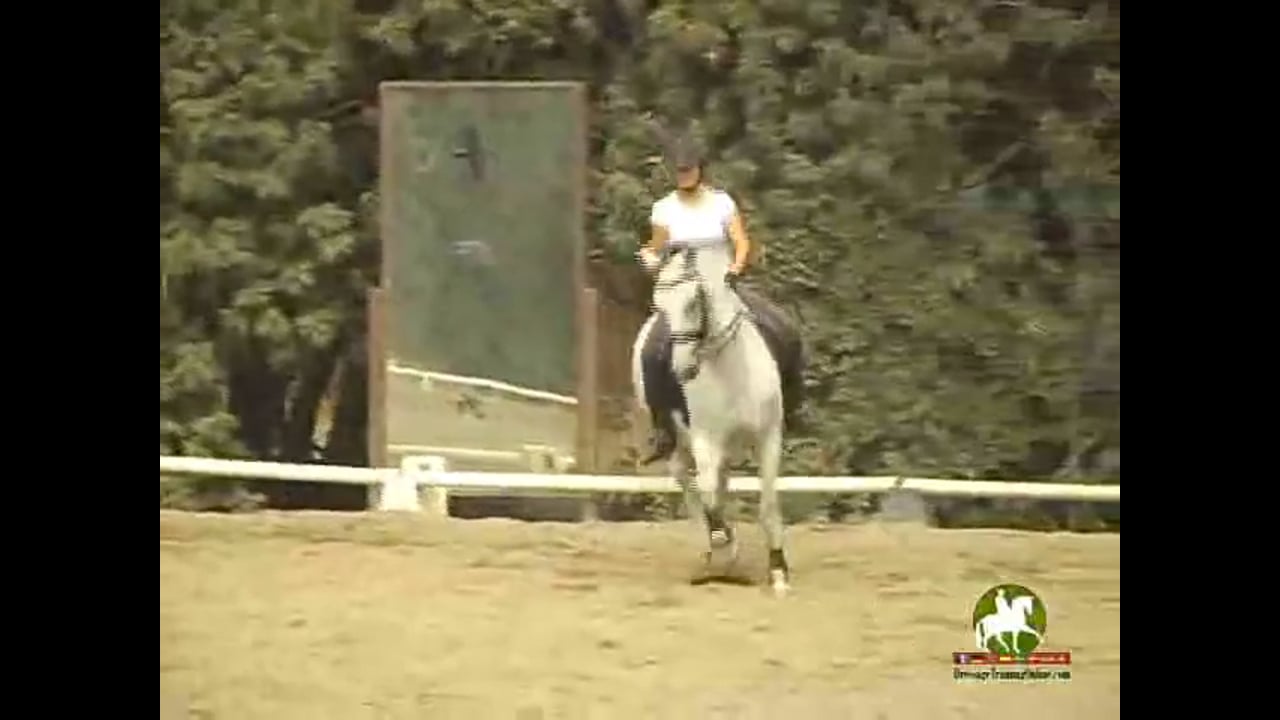 Training Level to Grand Prix work with Hilda Gurney, Video Set 1