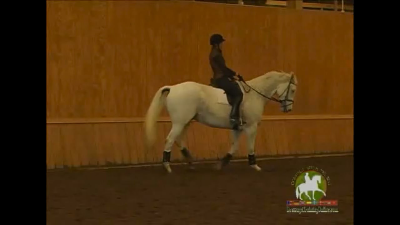 Training Level through Intermediare 1 with Christoph Hess - Third Level