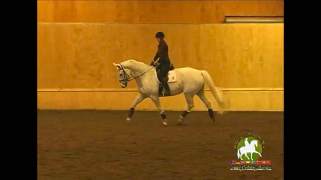 Training Level through Intermediare 1 with Christoph Hess