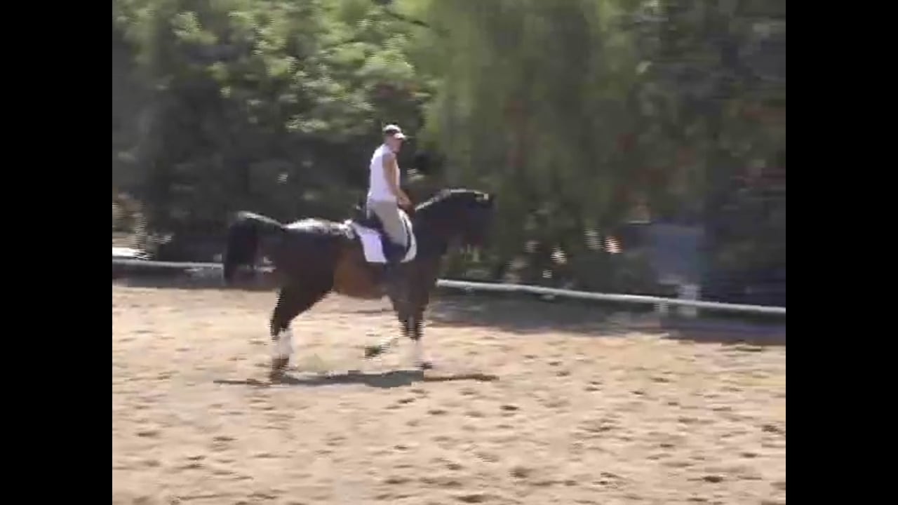 Training Level to Grand Prix work with Hilda Gurney, Video Set 1