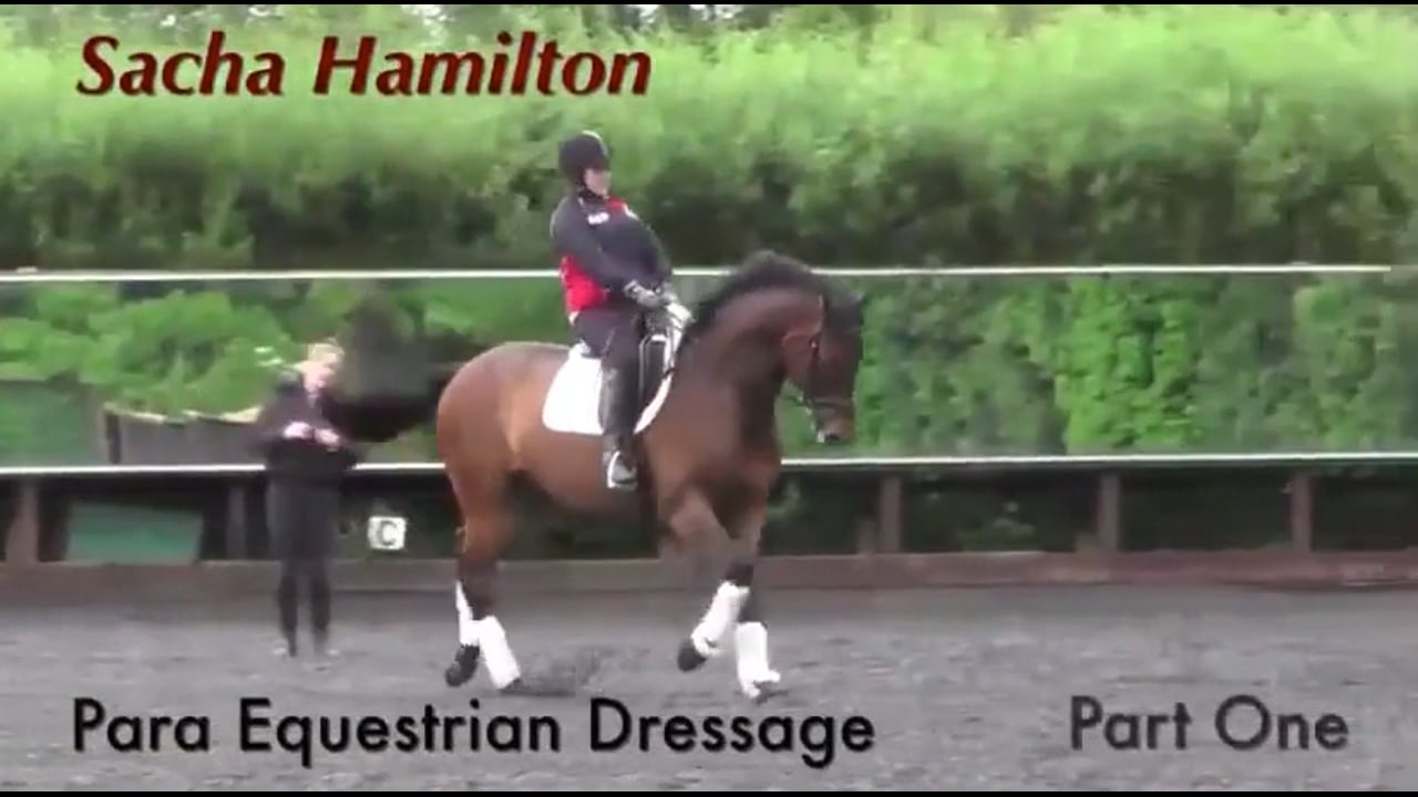 Sacha Hamilton - Para Equestrian Dressage - Part 1
