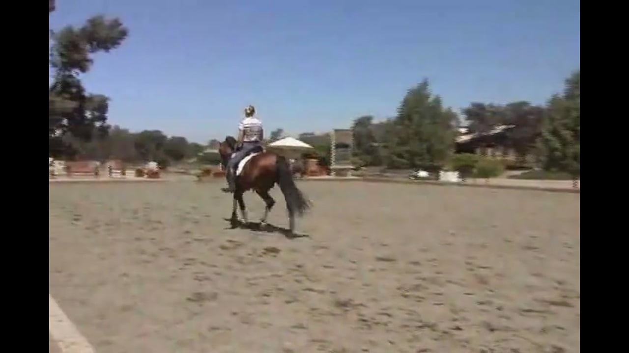Training Tempi Changes, Piaffe, and Passage | Courtney King-Dye | PART 01