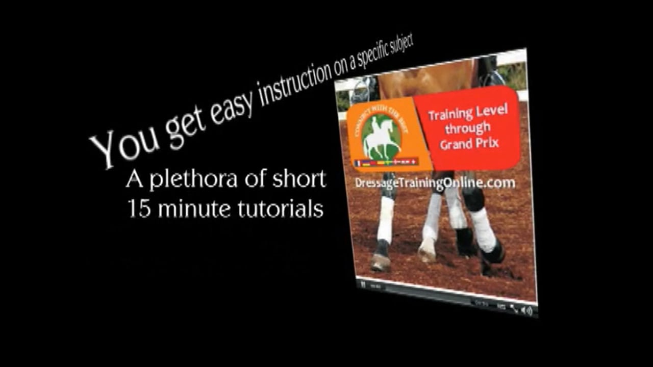 Training Level to Grand Prix work with Hilda Gurney, Video Set 2