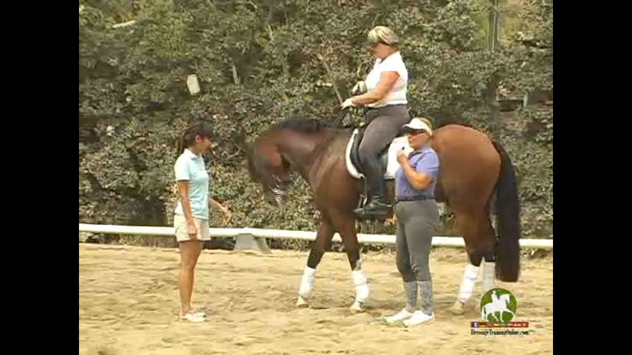 Training Level to Grand Prix work with Hilda Gurney, Video Set 1