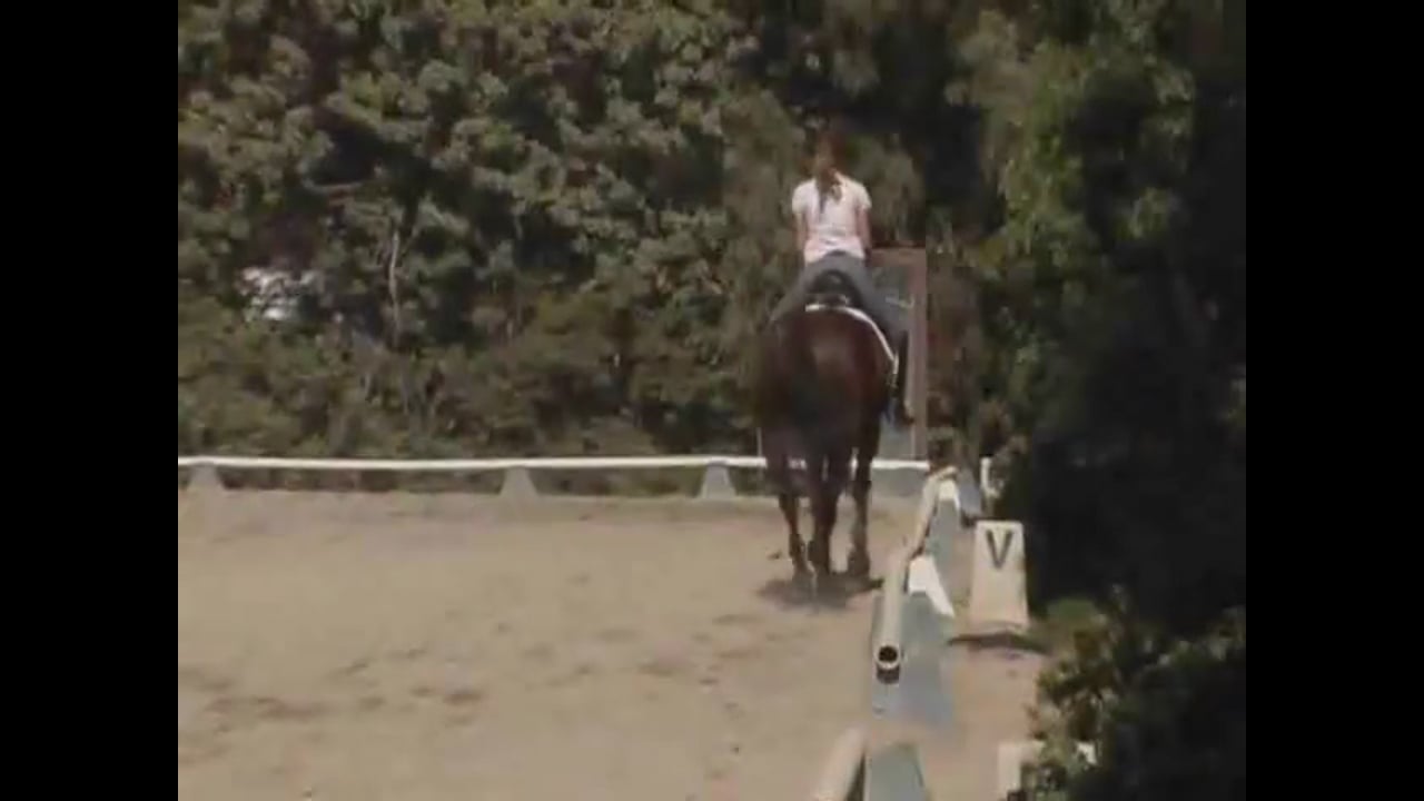 Training Level to Grand Prix work with Hilda Gurney, Video Set 1