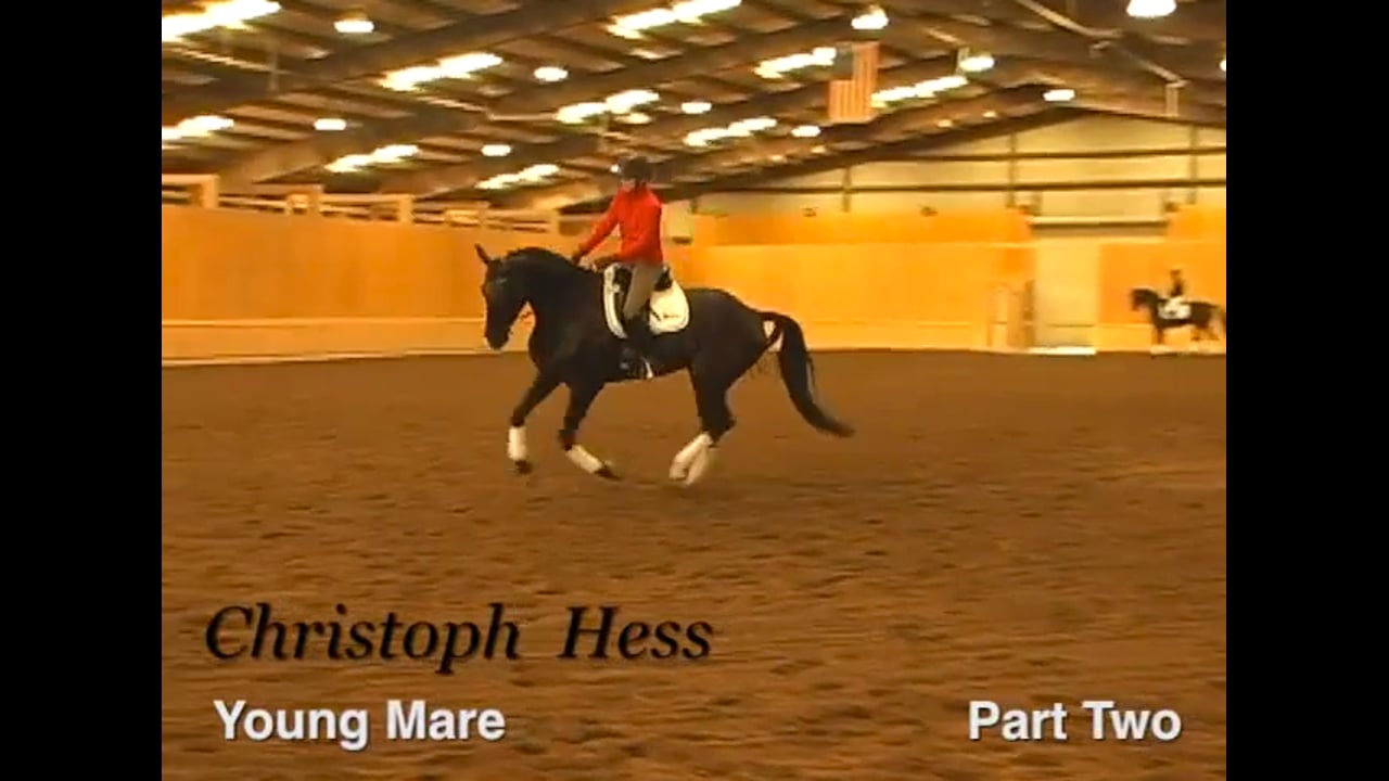 Training the Flying Changes in a Young Horse | Christoph Hess | PART 02