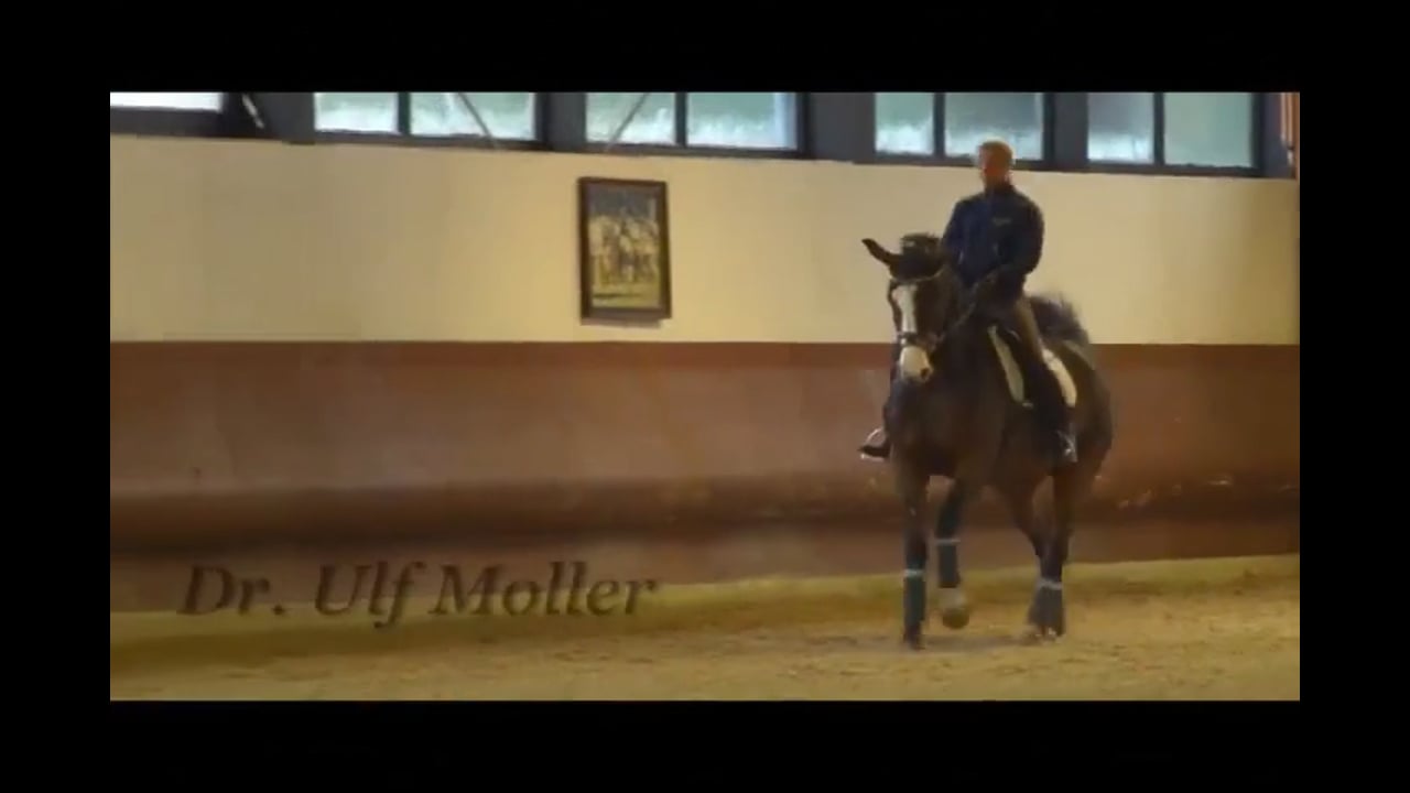 Training the Six Year Old for the Young Horse & PSG | Dr. Ulf Moller | PART 03