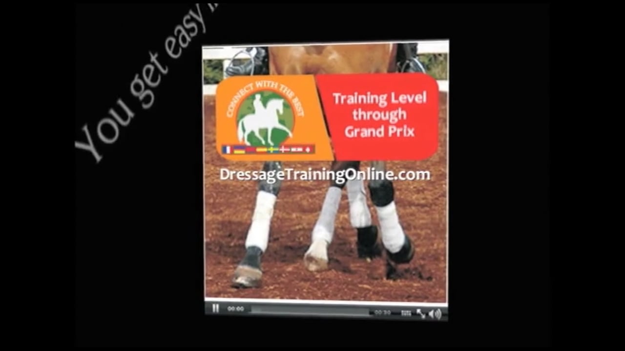 Training System 1 | Catherine Haddad