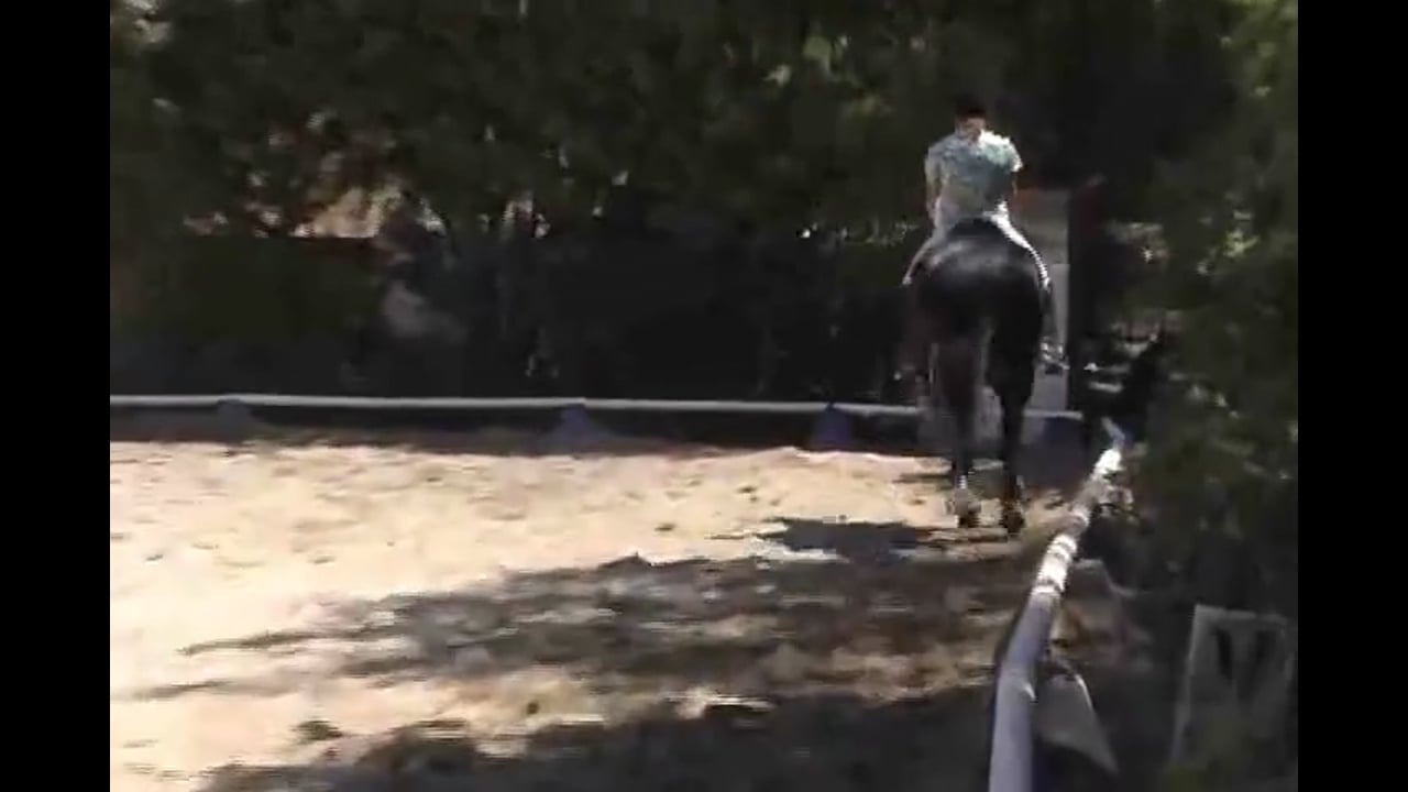 Training Level to Grand Prix work with Hilda Gurney, Video Set 1