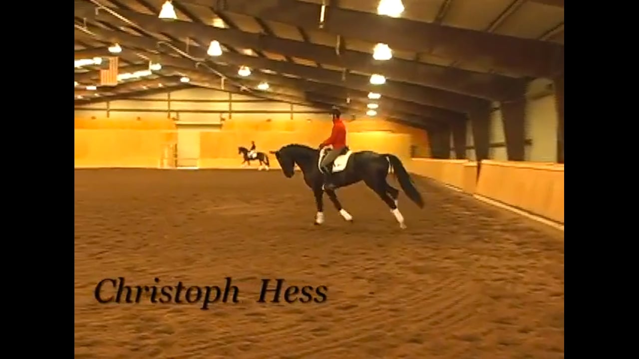 Training the Flying Changes in a Young Horse | Christoph Hess | PART 03