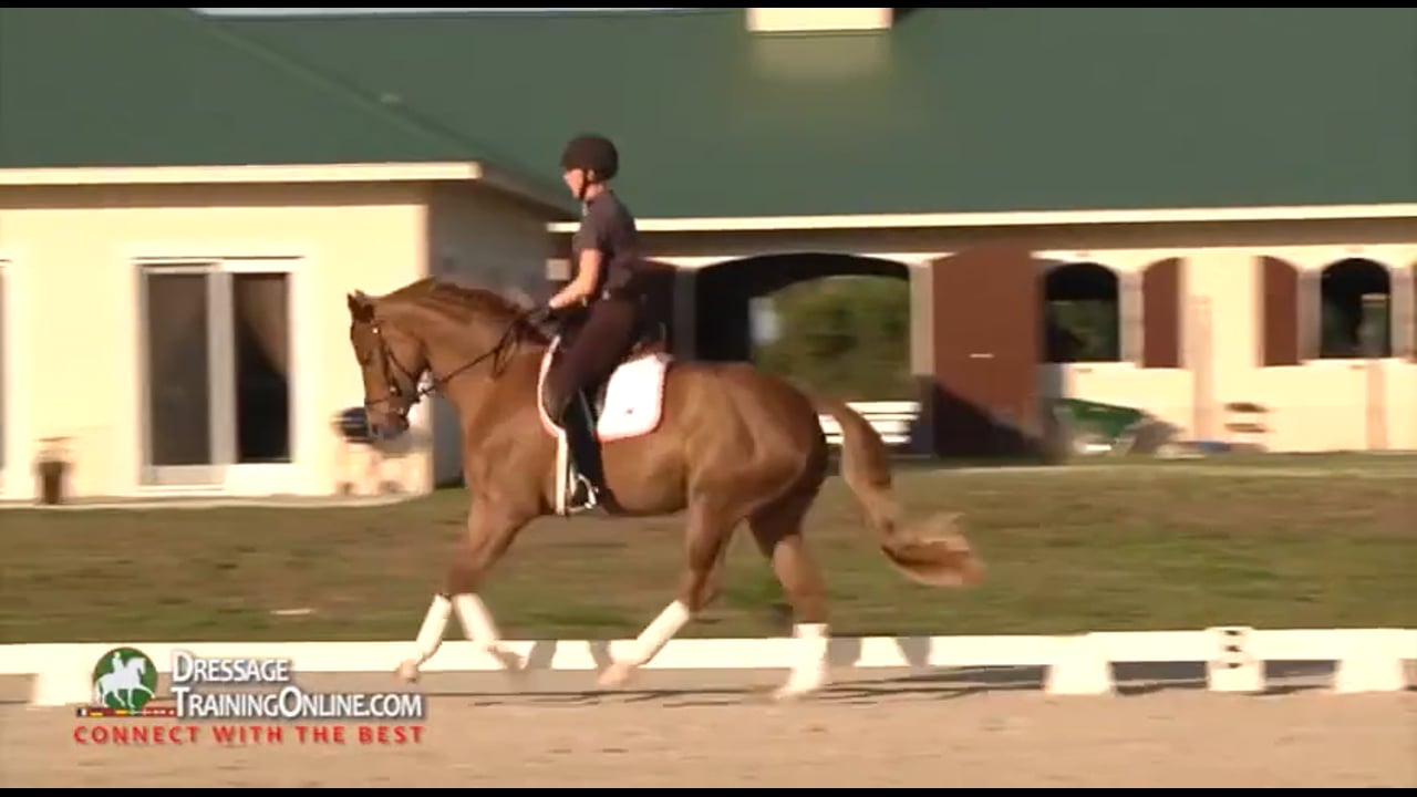 Training System 2 | Catherine Haddad | PART 03
