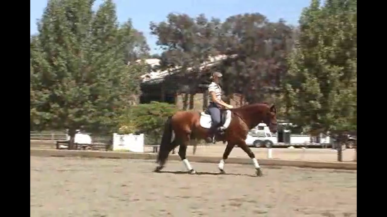 Training Tempi Changes, Piaffe, and Passage | Courtney King-Dye | PART 04