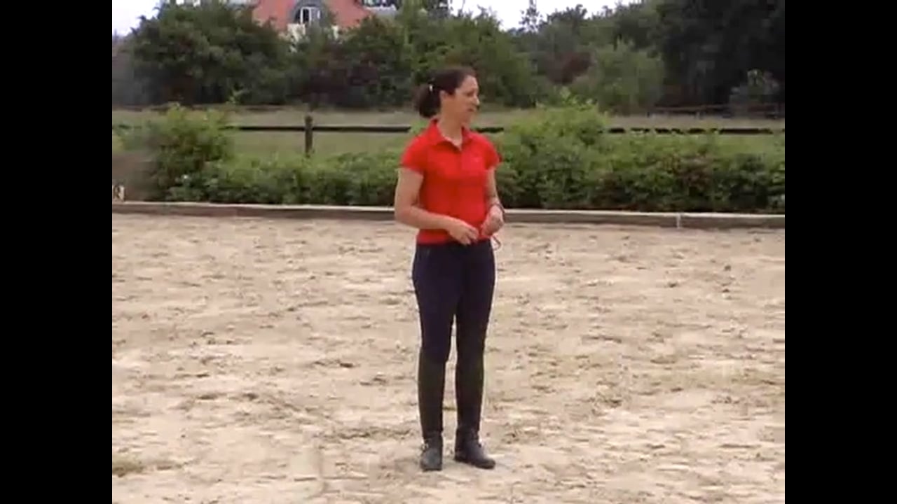 Training Forward and Straight on a Young Horse | Catherine Haddad | PART 02