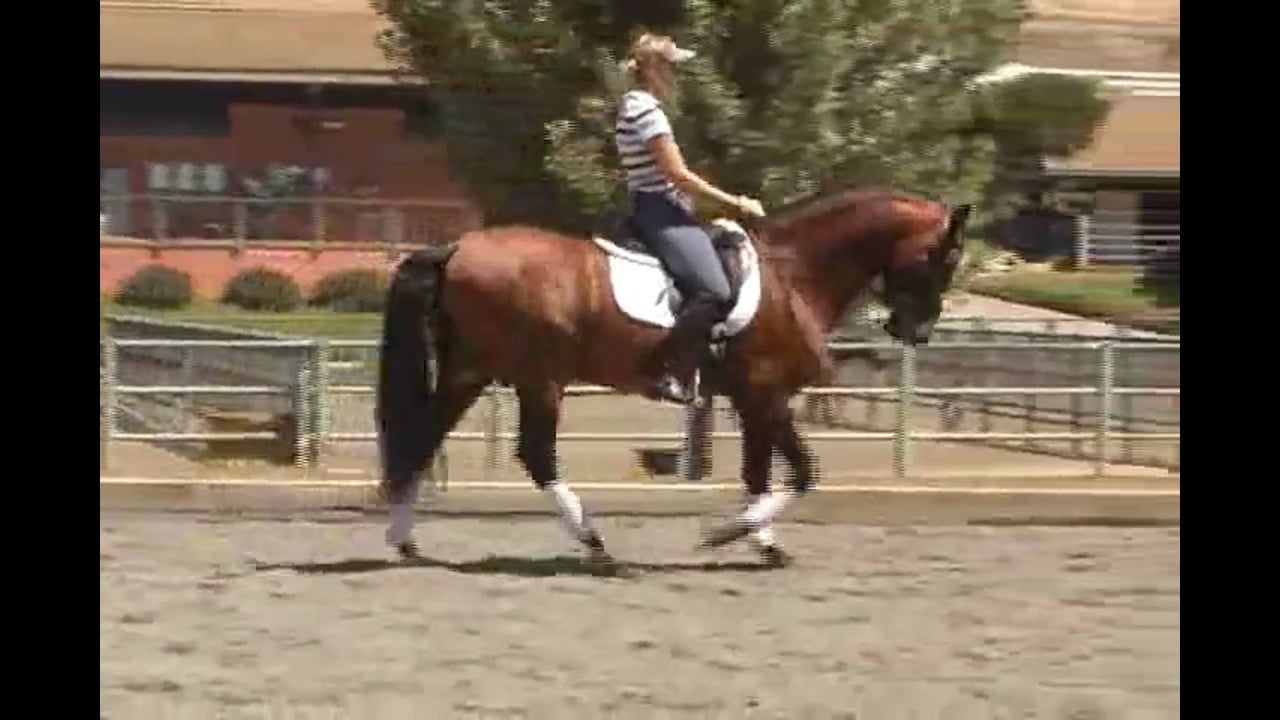 Training Tempi Changes, Piaffe, and Passage | Courtney King-Dye | PART 02