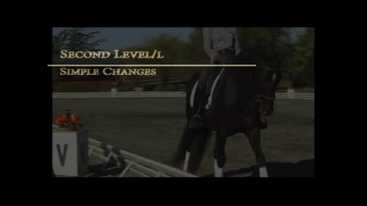 Training through the Levels with Debbie McDonald and Janet Foy - Training level
