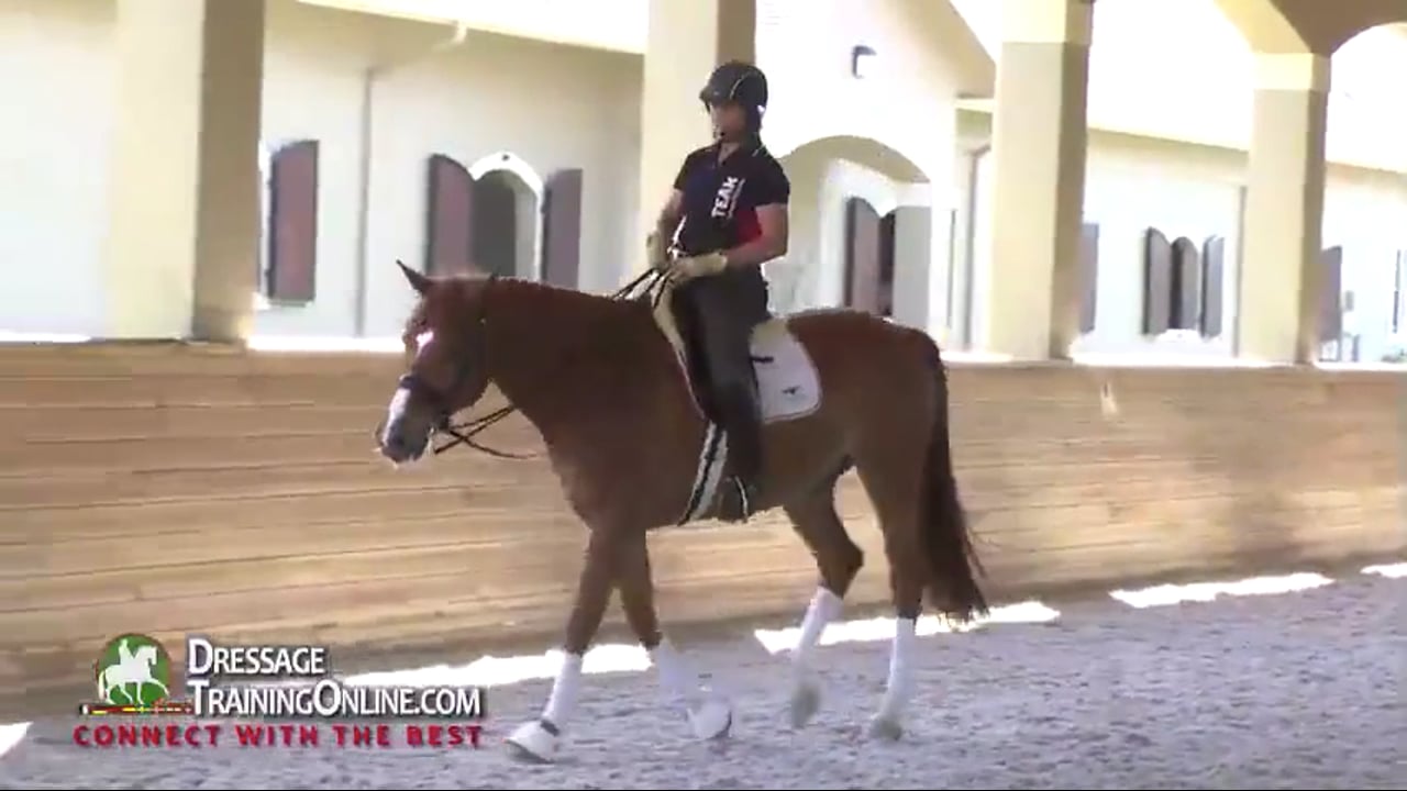 Training the Grand Prix Horse | Catherine Haddad | PART 03