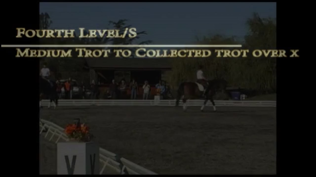 Training through the Levels with Debbie McDonald and Janet Foy - Training level