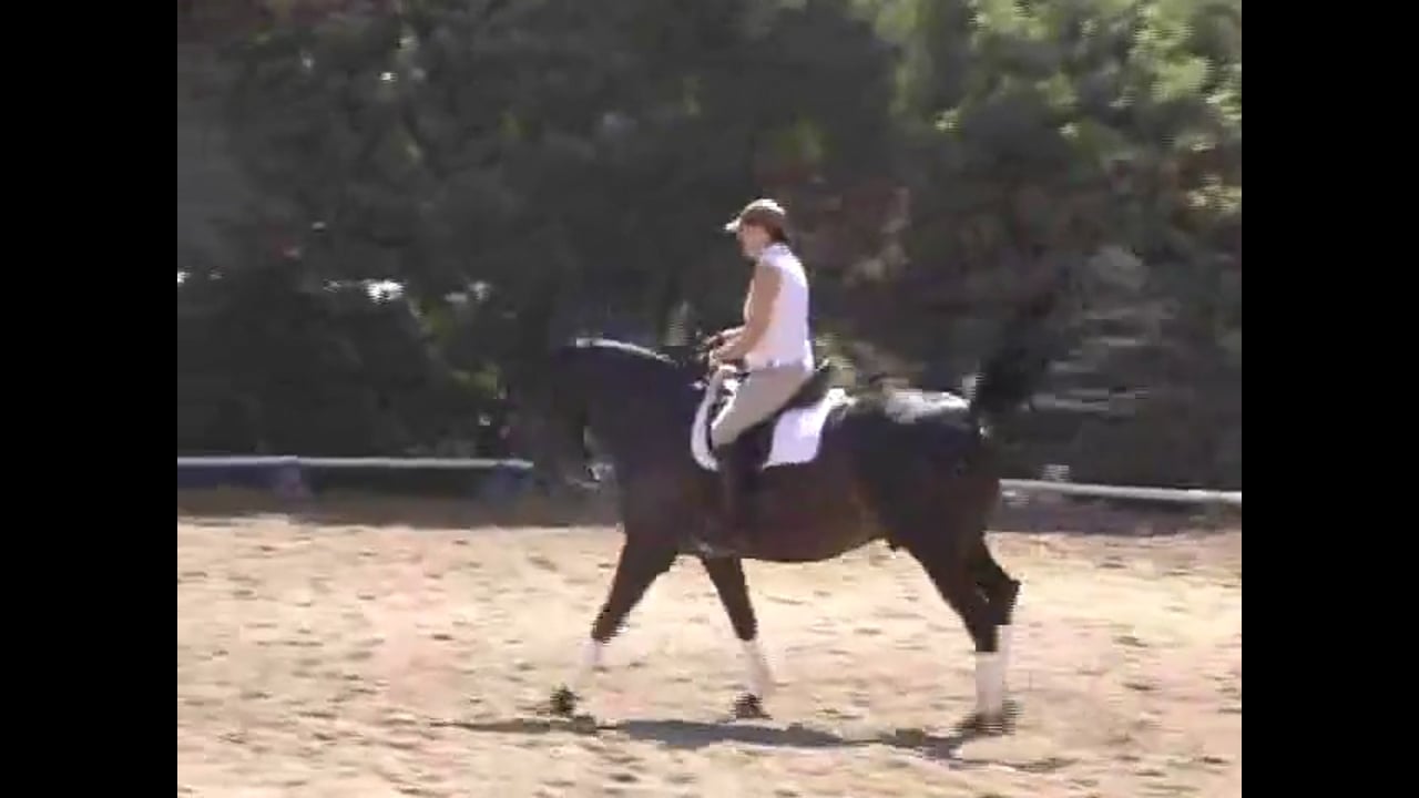 Transitions and Pirouettes | Hilda Gurney | PART 01