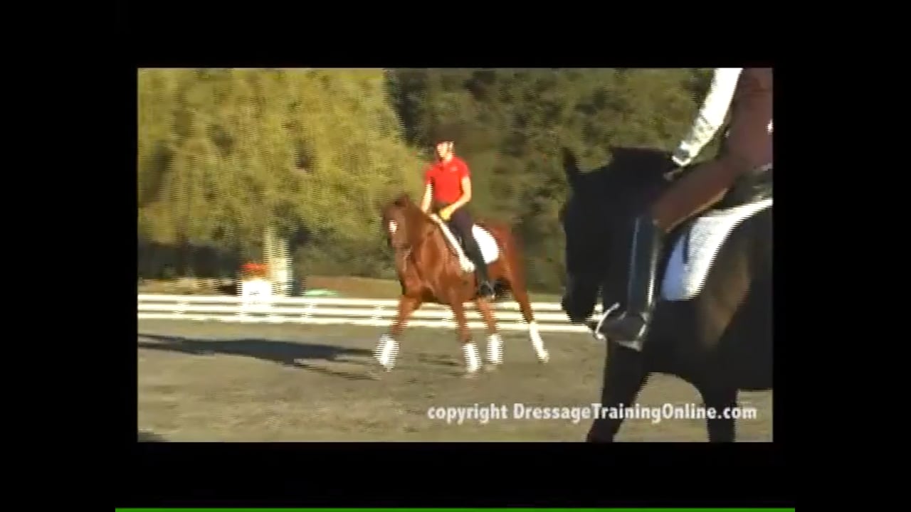 Training through the Levels with Debbie McDonald and Janet Foy - Training level