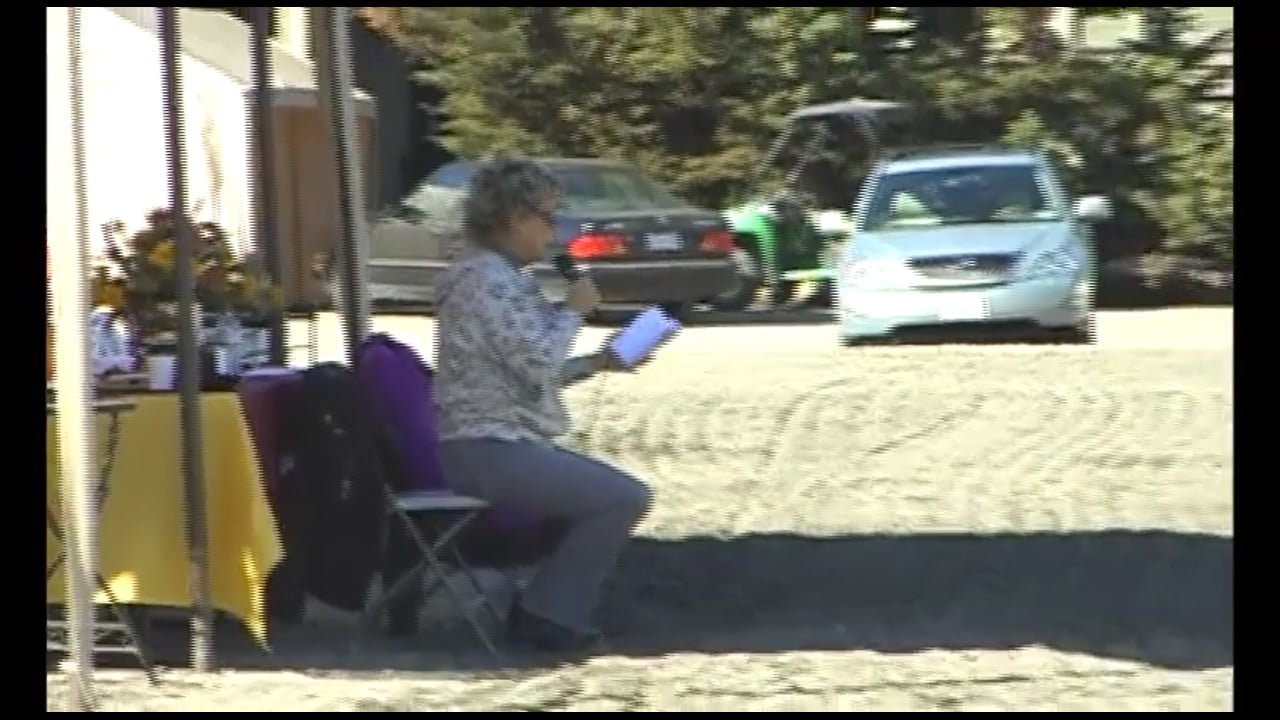 Dressage Through the Levels - 4th/S Halt Rein-Back | Debbie McDonald & Janet Foy