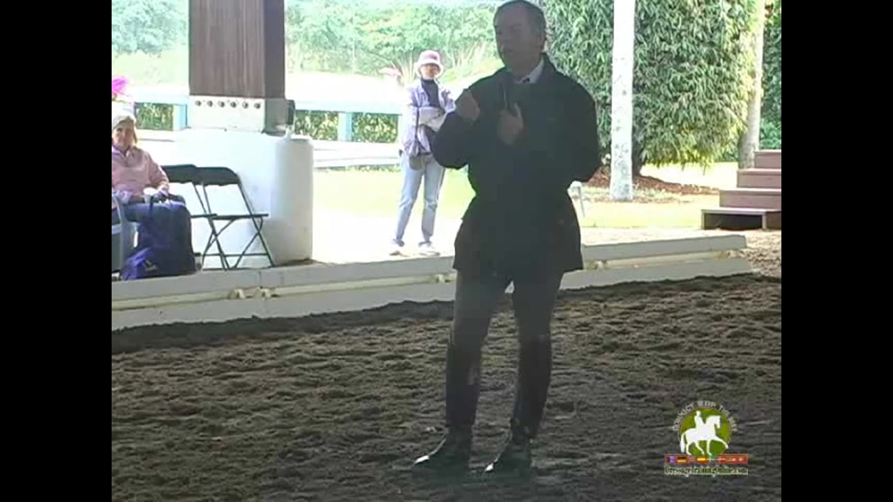 Transitions Within Gaits, Half Pass, Lateral Work | Henk van Bergen | PART 03