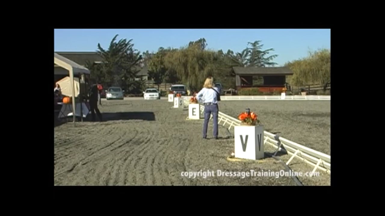 Training through the Levels with Debbie McDonald and Janet Foy - Training level