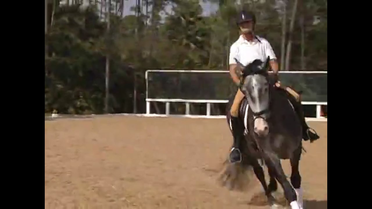 Transitions within the gait