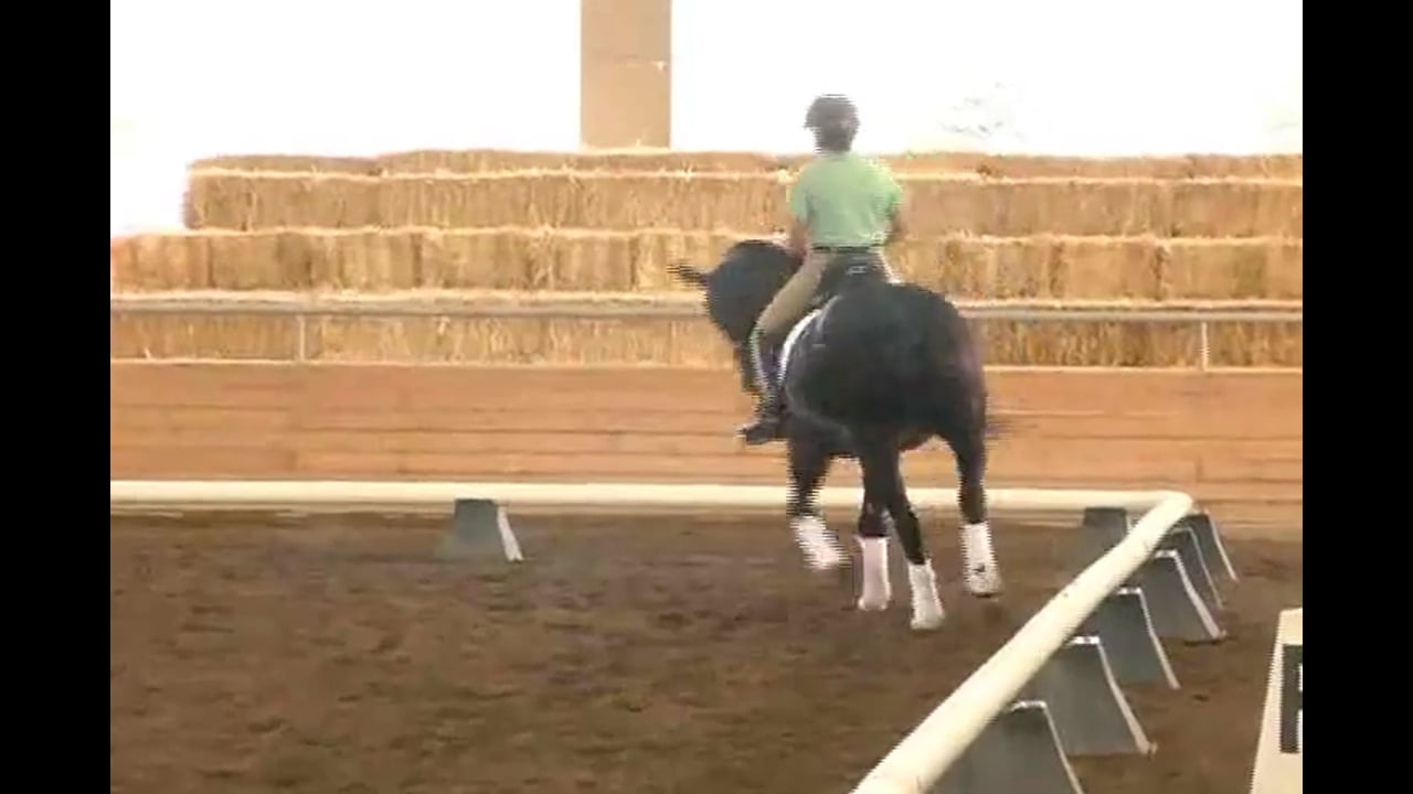 Transitions, Position, Straightness and Half Pass | Jan Brink | PART 02