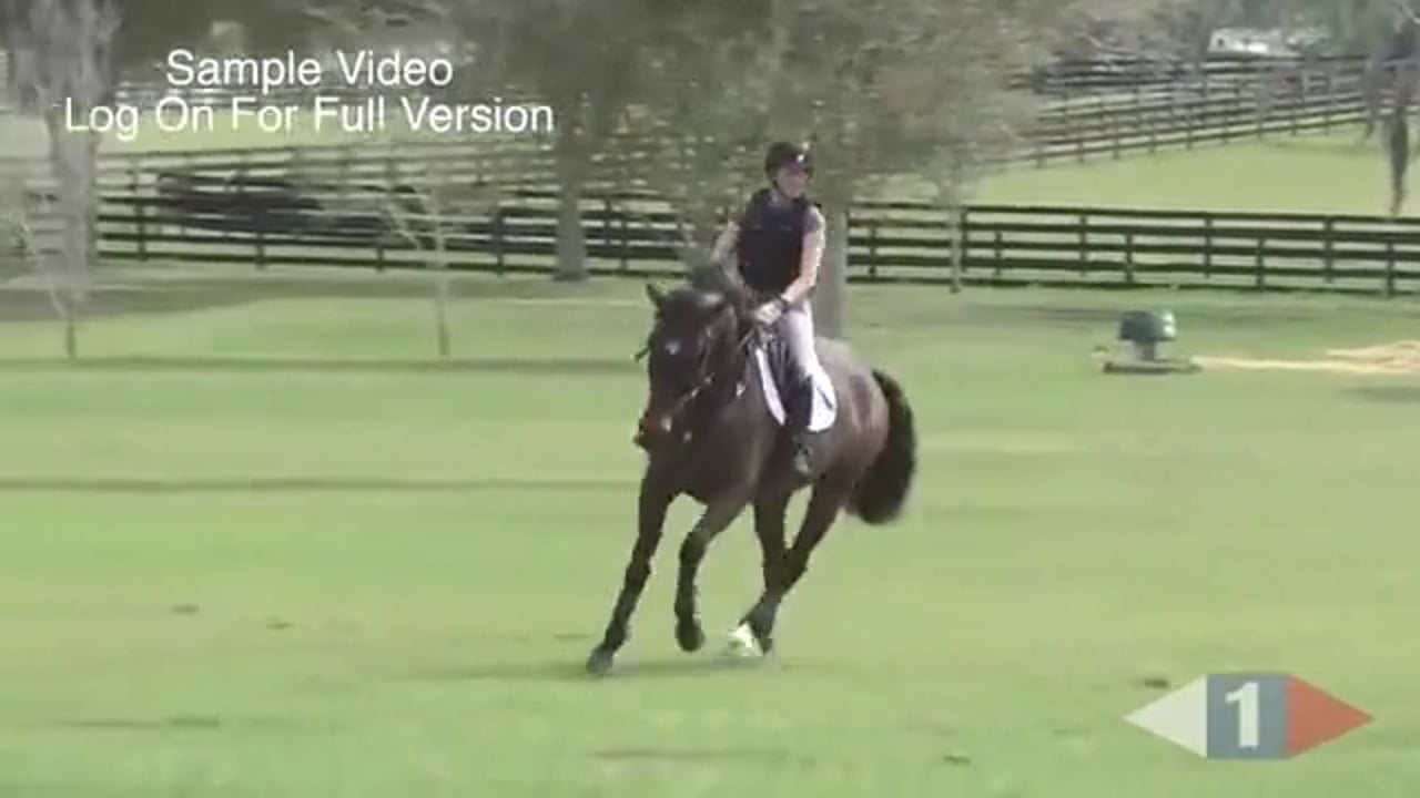 Trying Different Bits & Nosebands | Robin Walker | TRAILER