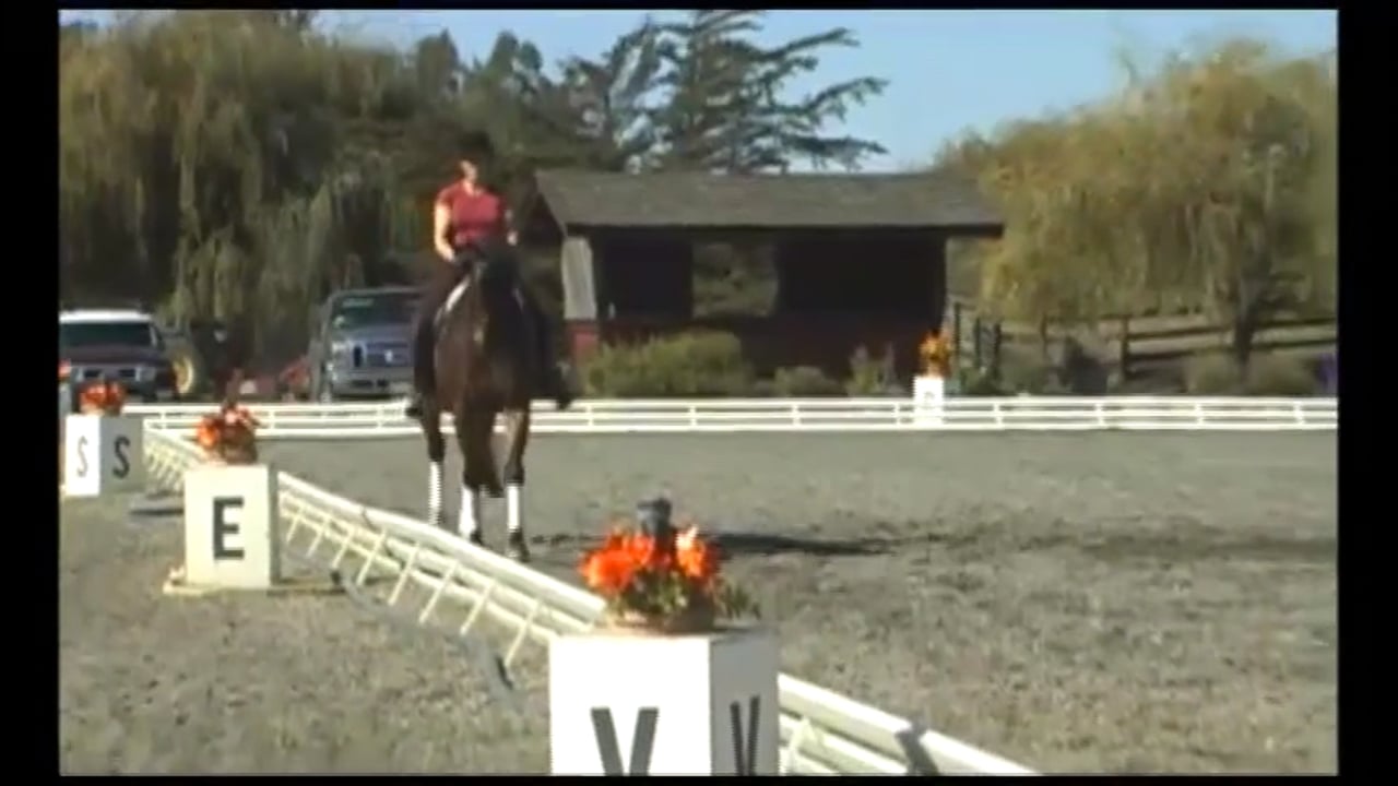 Dressage through the Levels: Training - GP | Debbie McDonald & Janet Foy