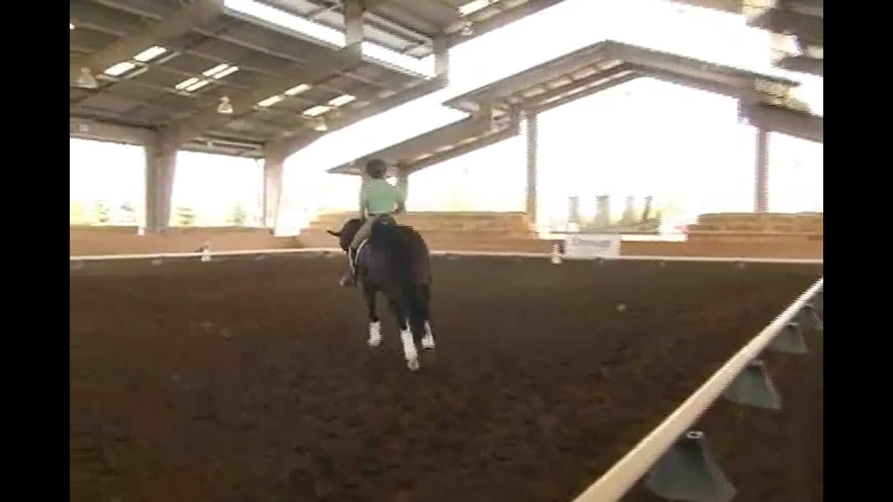 Transitions, Position, Straightness and Half Pass | Jan Brink | PART 01