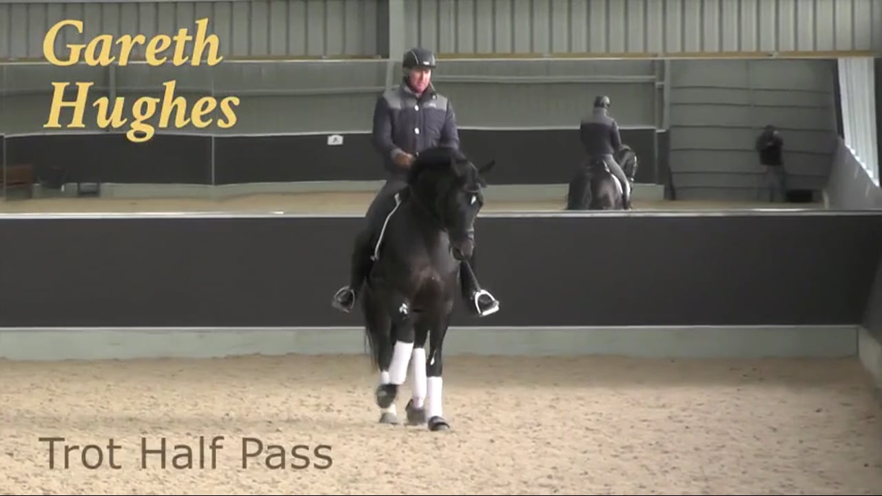 Trot Half Pass | Gareth Hughes | PART 02