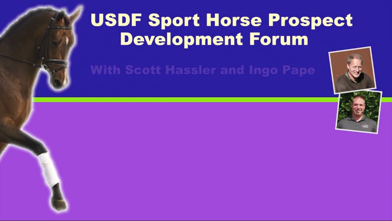 USDF Sport Horse Development Forum - 4YO, Q and A | Scott Hassler | PART 03