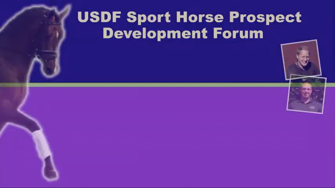 USDF Sport Horse Dev Forum | Young Horse Confidence | Scott Hassler | PART 02