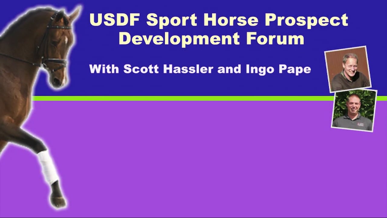 USDF Sport Horse Dev Forum - Young Horse Communication | Scott Hassler | PART 03
