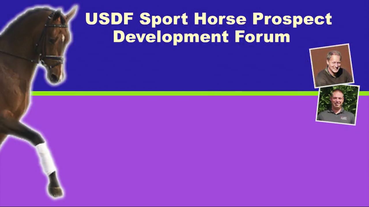 USDF Sport Horse Dev Forum - Young Horse Communication | Scott Hassler | PART 02