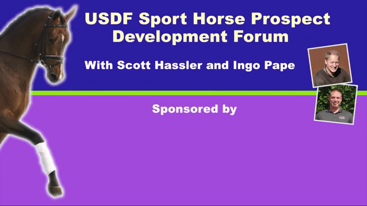 USDF Sport Horse Development Forum - 4YO, Q and A | Scott Hassler | PART 02